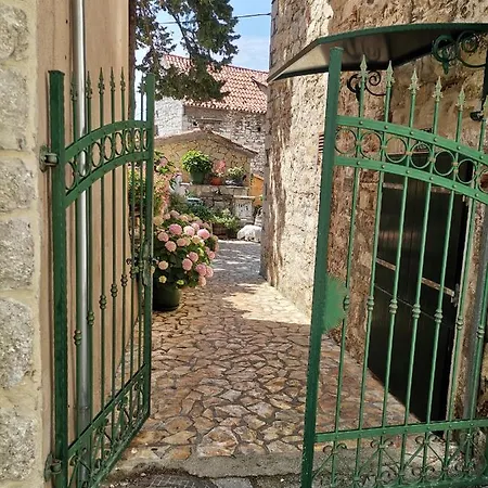 Bepo Collection スプリト