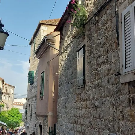 Bepo Collection スプリト