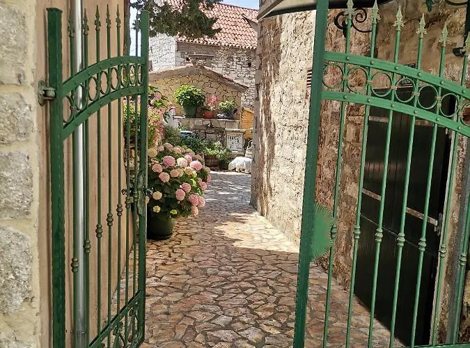 Bepo Collection Spalato