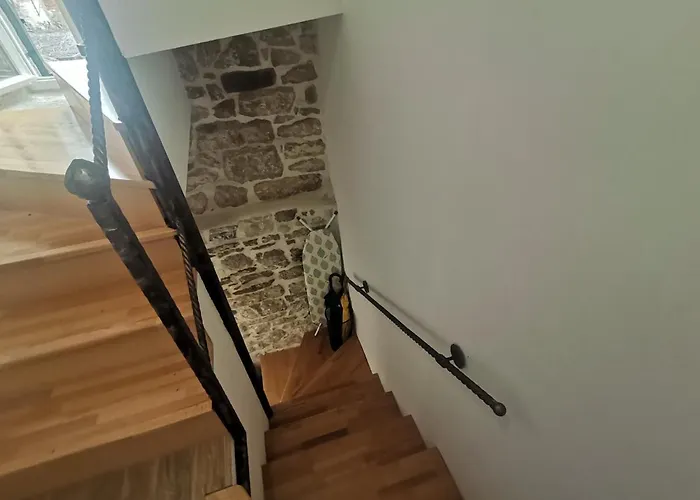 Bepo Collection Split